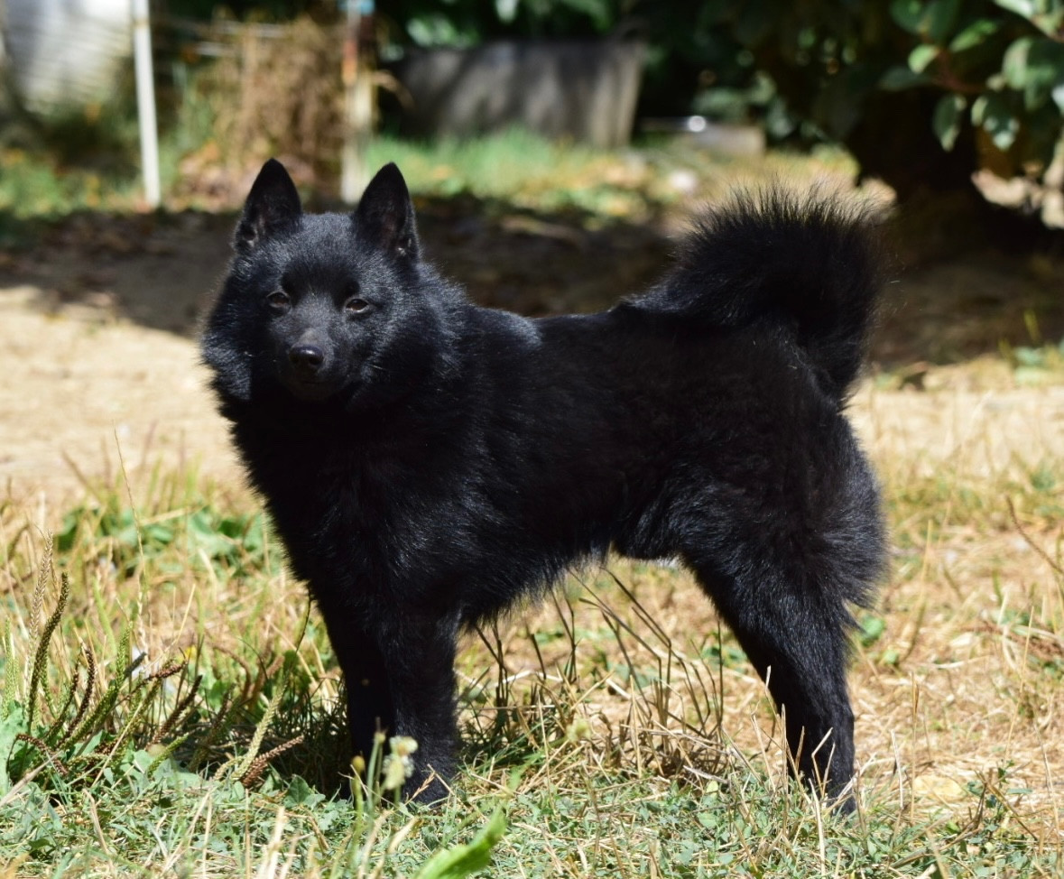 Underpressure  della val metauro